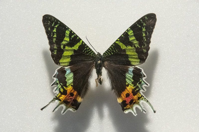 Twillingate to Gros&nbsp;Morne