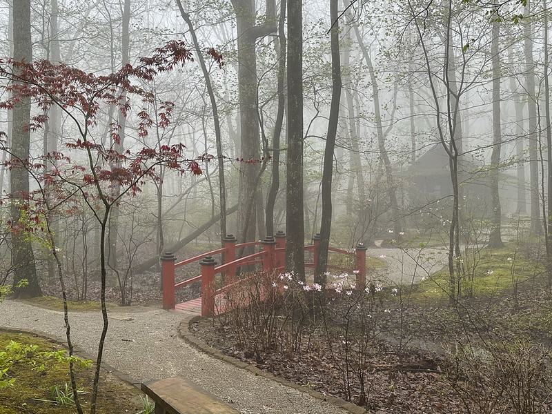 Monte Sano State Park & Gunter Hill COE Campground,&nbsp;AL
