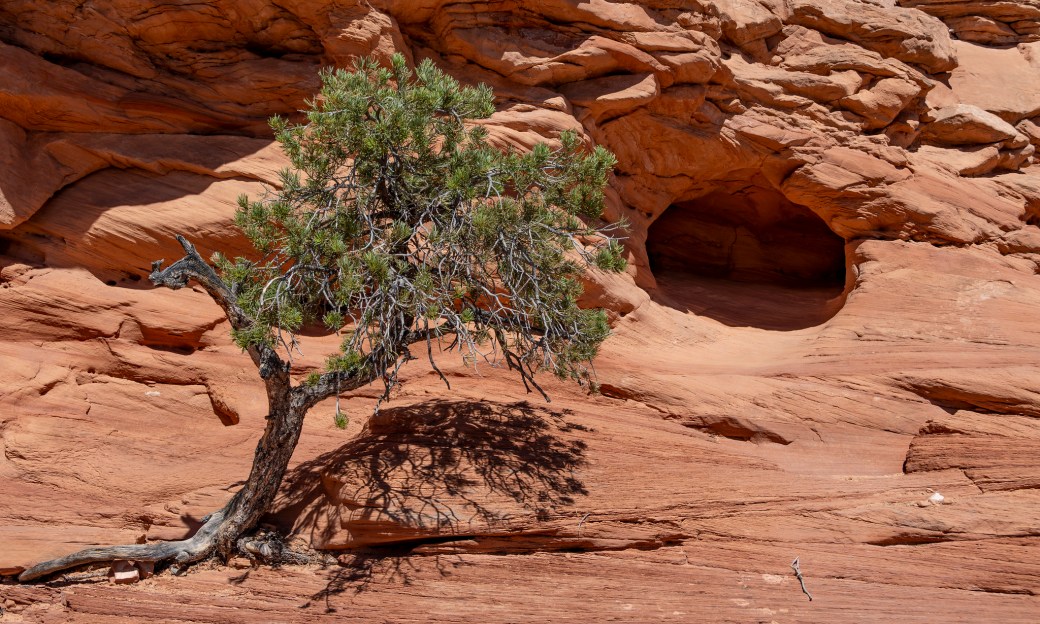 Moab: Canyonlands, Island in the&nbsp;Sky
