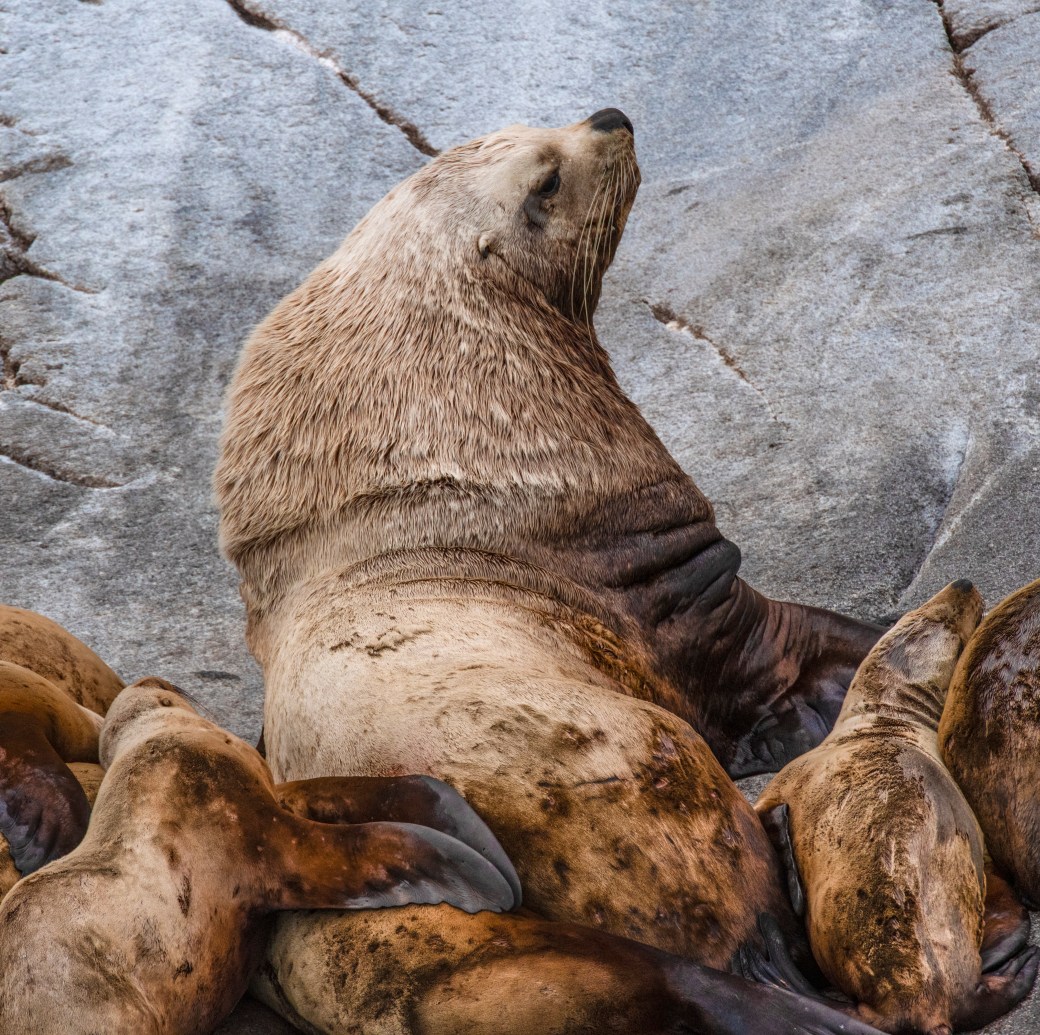 Haines to Juneau, Alaska – July&nbsp;8