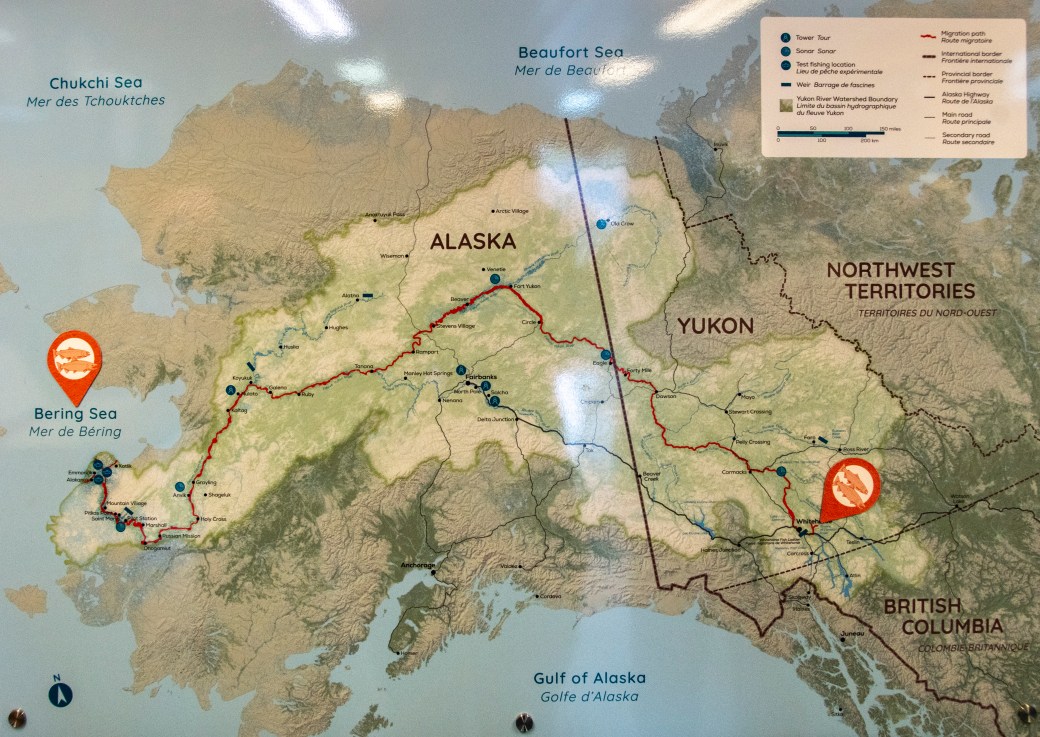 Whitehorse, Watson Lake, & Dease Lake – August 20-24